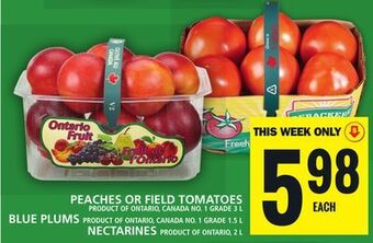Food Basics Peaches or field tomatoes or blue plums or nectarines offer