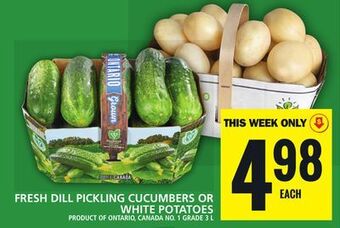 Food Basics Fresh dill pickling cucumbers or white potatoes offer