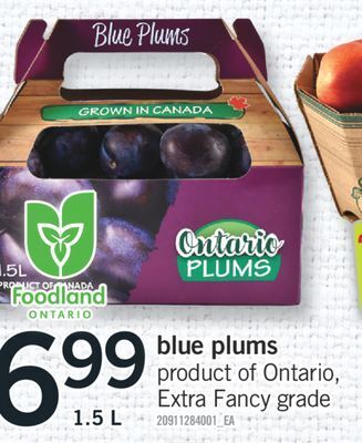 Fortinos Blue plums, 1.5 l offer