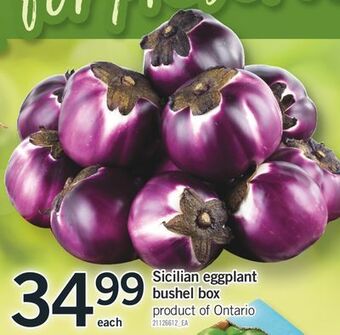 Fortinos Sicilian eggplant bushel box offer