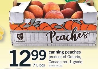 Fortinos Canning peaches, 7 l box offer