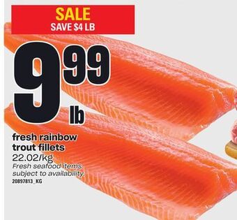 Loblaws Fresh rainbow trout fillets offer