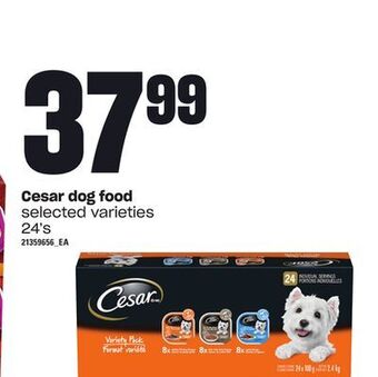 Loblaws Cesar dog food, 24's offer
