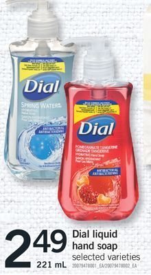 Fortinos Dial liquid hand soap, 221 ml offer