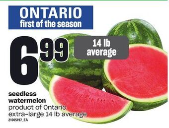 Loblaws Seedless watermelon, 14 lb average offer