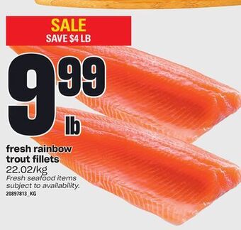 Independent Grocer Fresh rainbow trout fillets offer
