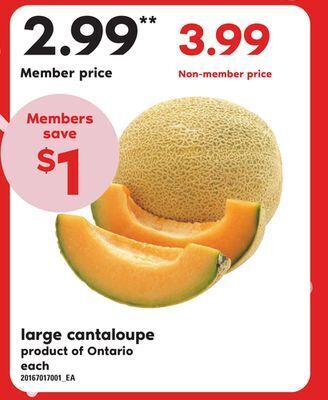 Independent Grocer Large cantaloupe offer