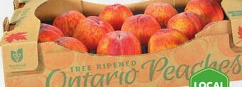Sobeys Peaches offer