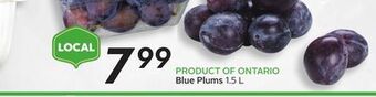 Sobeys Blue plums offer