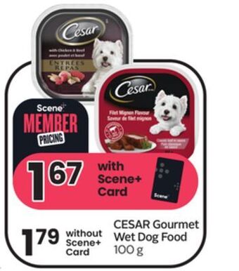 Sobeys Gourmet wet dog food offer