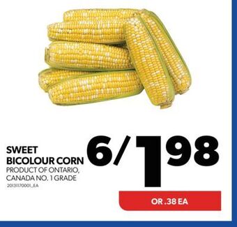 Real Canadian Superstore Sweet bicolour corn offer