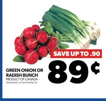 Real Canadian Superstore Green onion or radish bunch offer