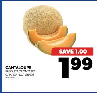 Real Canadian Superstore Cantaloupe offer