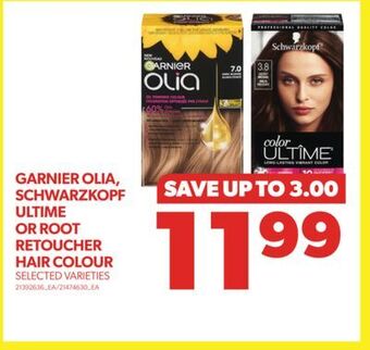 Real Canadian Superstore Garnier olia, schwarzkopf ultime or root retoucher hair colour offer