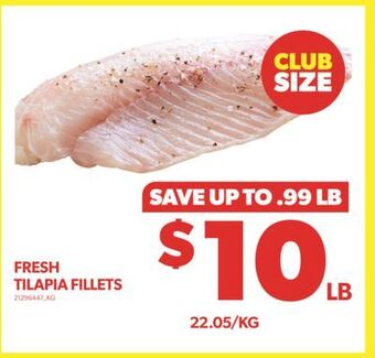 Real Canadian Superstore Fresh tilapia fillets offer