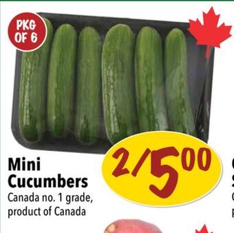 Farm Boy Mini cucumbers offer