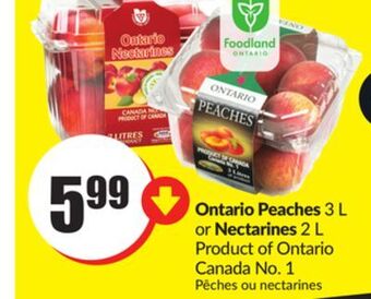 Chalo FreshCo Peaches 3 l or nectarines 2 l product of ontario canada no. 1 offer
