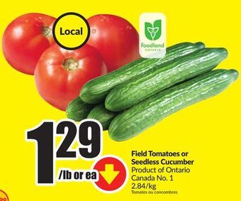FreshCo Field tomatoes or seedless cucumber product of ontario canada no. 1 offer