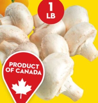 Giant Tiger 1 lb whole white mushrooms offer