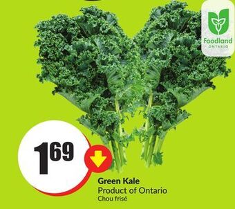 FreshCo Green kale product of ontario offer