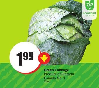 FreshCo Green cabbage product of ontario canada no. 1 offer