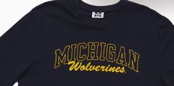 Giant Tiger Licensed tee offer