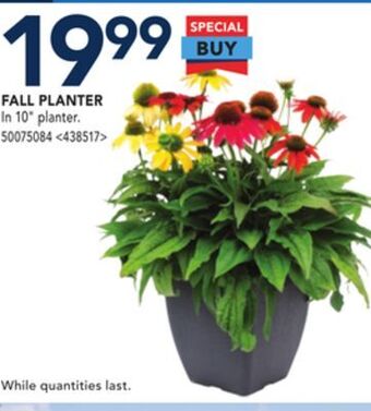 RONA Fall planter offer