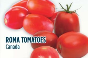 Marché Adonis Roma tomatoes offer