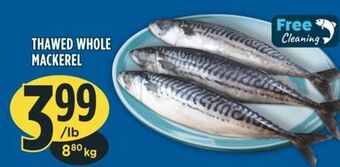 Marché Adonis Thawed whole mackerel offer
