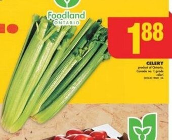 No Frills Celery offer