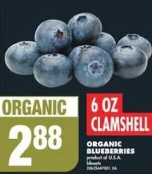 No Frills ORGANIC BLUEBERRIES offer