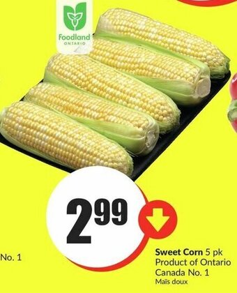 FreshCo Sweet Corn 5 pk offer