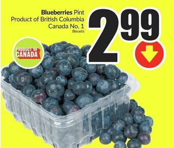 FreshCo Blueberries Pint offer
