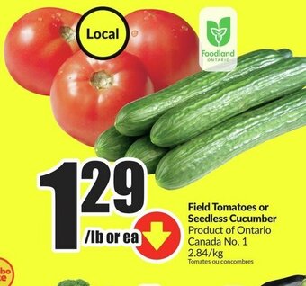 FreshCo Field Tomatoes or Seedless Cucumber offer
