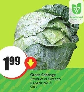 FreshCo Green Cabbage offer
