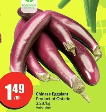 FreshCo Chinese Eggplant offer