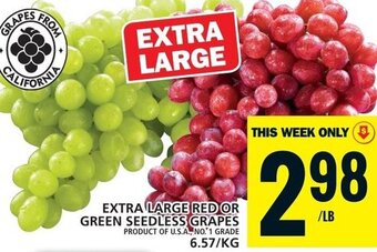 Food Basics EXTRA LARGE RED OR GREEN SEEDLESS GRAPES offer