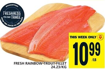 Food Basics FRESH RAINBOW TROUT FILLET offer