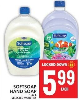 Food Basics SOFTSOAP HAND SOAP 1.47L offer
