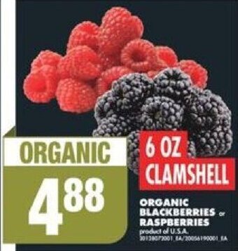 No Frills ORGANIC BLACKBERRIES or RASPBERRIES, 6 OZ CLAMSHELL offer