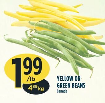 Marché Adonis Yellow or green beans offer