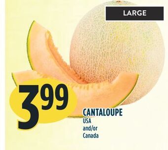 Marché Adonis Cantaloupe offer