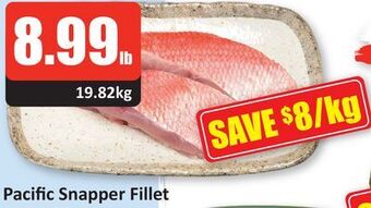 Starsky Pacific snapper fillet offer