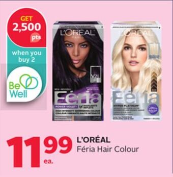 Rexall L'oréal féria hair colour offer