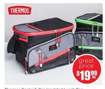 Kitchen Stuff Plus Thermos cooler 6-can insulated lunch bag offer