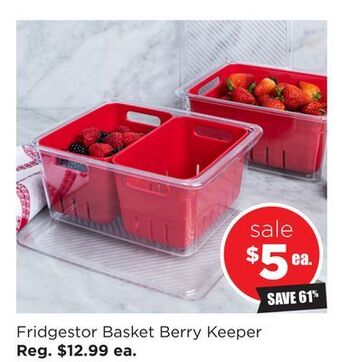 Kitchen Stuff Plus Fridgestor basket berry keeper offer
