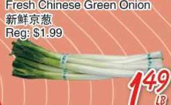 Foody Mart Fresh chinese green onion offer