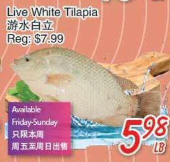 Foody Mart Live white tilapia offer