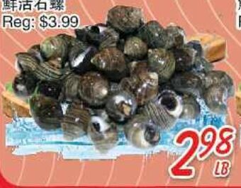 Foody Mart Live snail offer