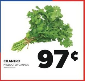 Real Canadian Superstore CILANTRO offer